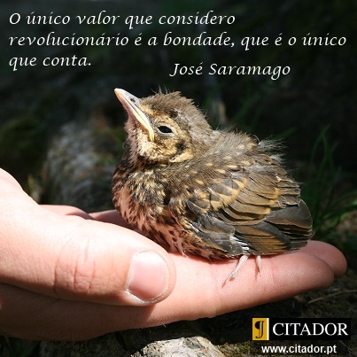 O Valor da Bondade - José de Sousa Saramago