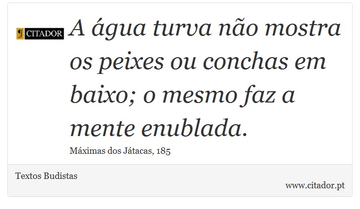 A água turva não mostra os peixes ou conchas em baixo; o mesmo faz a mente enublada. - Textos Budistas - Frases