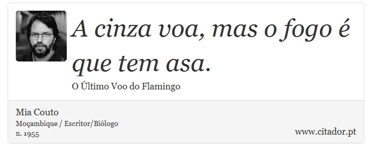A cinza voa, mas o fogo é que tem asa. - Mia Couto - Frases