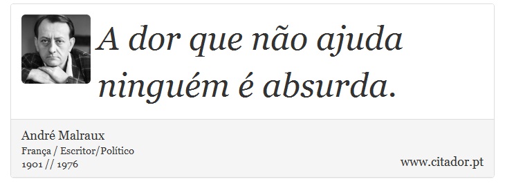 A dor que não ajuda ninguém é absurda. - André Malraux - Frases