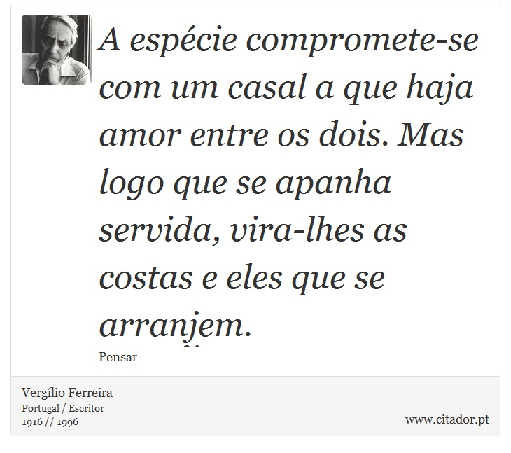 A espécie compromete-se com um casal a que haja amor entre os dois. Mas logo que se apanha servida, vira-lhes as costas e eles que se arranjem. - Vergílio Ferreira - Frases
