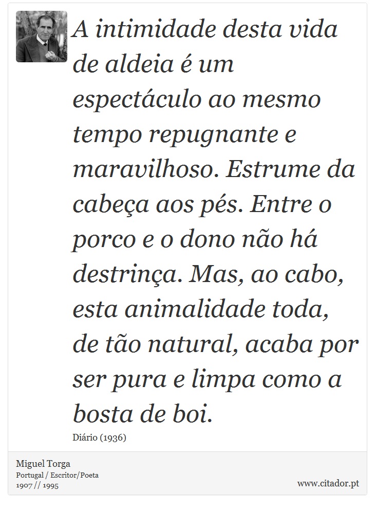A intimidade desta vida de aldeia é um espectáculo ao mesmo tempo repugnante e maravilhoso. Estrume da cabeça aos pés. Entre o porco e o dono não há destrinça. Mas, ao cabo, esta animalidade toda, de tão natural, acaba por ser pura e limpa como a bosta de boi. - Miguel Torga - Frases