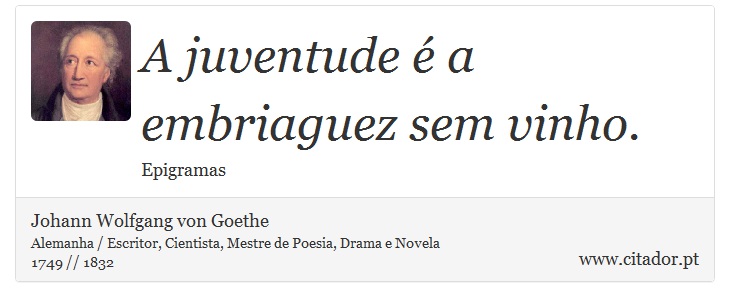 A juventude é a embriaguez sem vinho. - Johann Wolfgang von Goethe - Frases