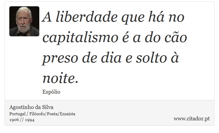 A liberdade que há no capitalismo é a do cão preso de dia e solto à noite. - Agostinho da Silva - Frases