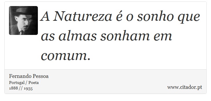 A Natureza é o sonho que as almas sonham em comum. - Fernando Pessoa - Frases