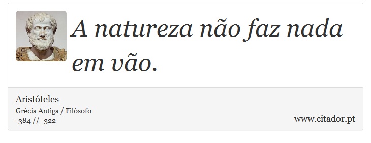 A natureza não faz nada em vão. - Aristóteles - Frases