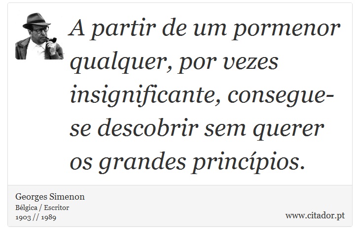 A partir de um pormenor qualquer, por vezes insignificante, consegue-se descobrir sem querer os grandes princípios. - Georges Simenon - Frases