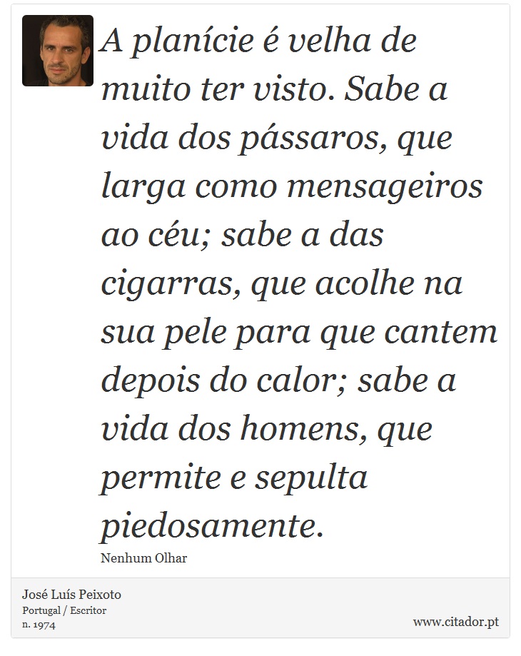 A planície é velha de muito ter visto. Sabe a vida dos pássaros, que larga como mensageiros ao céu; sabe a das cigarras, que acolhe na sua pele para que cantem depois do calor; sabe a vida dos homens, que permite e sepulta piedosamente. - José Luís Peixoto - Frases