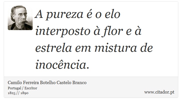A pureza é o elo interposto à flor e à estrela em mistura de inocência. - Camilo Ferreira Botelho Castelo Branco - Frases