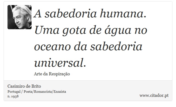A sabedoria humana. Uma gota de água no oceano da sabedoria universal. - Casimiro de Brito - Frases