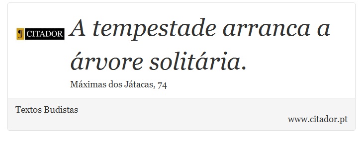 A tempestade arranca a árvore solitária. - Textos Budistas - Frases