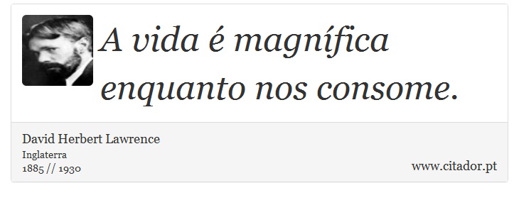 A vida é magnífica enquanto nos consome. - David Herbert Lawrence - Frases
