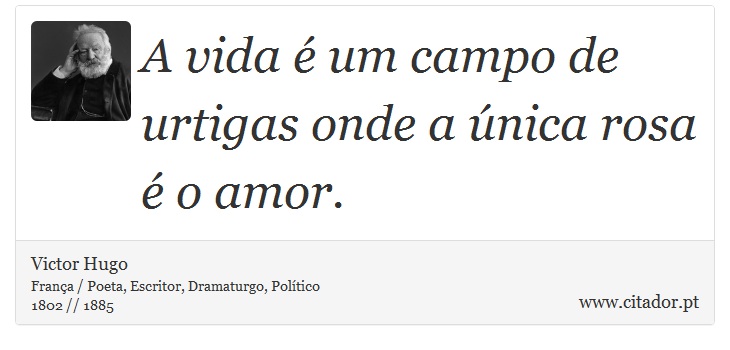 A vida é um campo de urtigas onde a única rosa é o amor. - Victor Hugo - Frases
