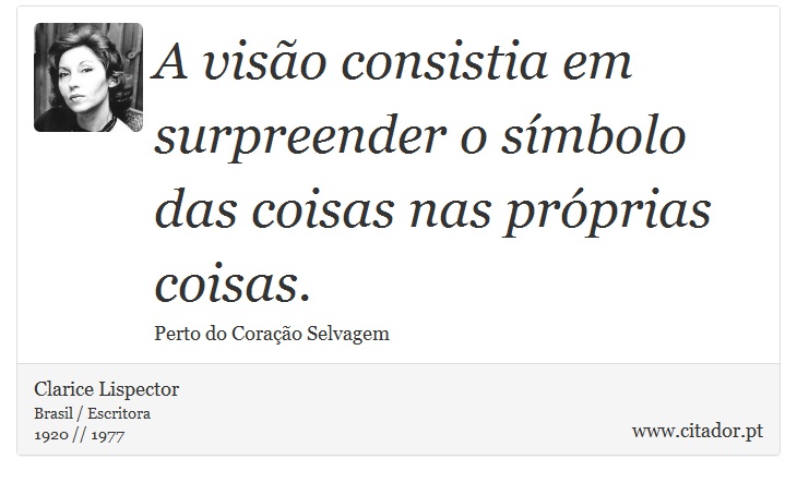 A visão consistia em surpreender o símbolo das coisas nas próprias coisas. - Clarice Lispector - Frases