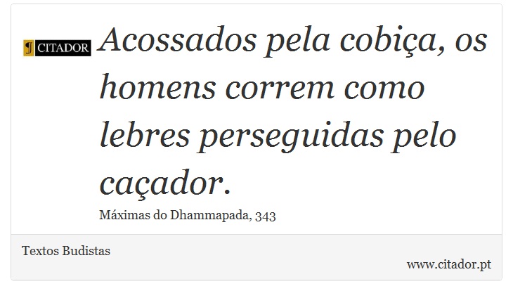 Acossados pela cobiça, os homens correm como lebres perseguidas pelo caçador. - Textos Budistas - Frases