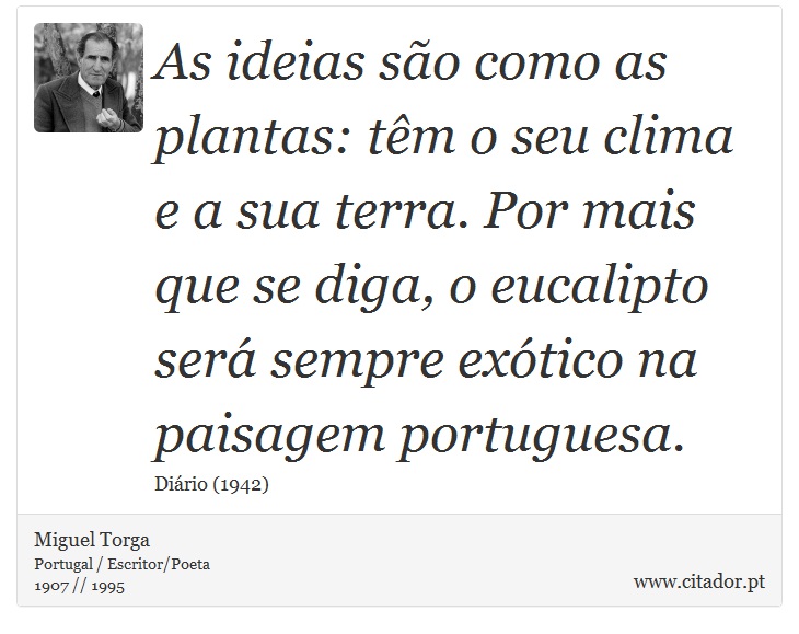 As ideias são como as plantas: têm o seu clima e a sua terra. Por mais que se diga, o eucalipto será sempre exótico na paisagem portuguesa. - Miguel Torga - Frases