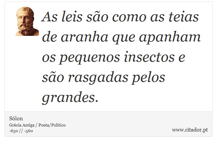 As leis são como as teias de aranha que apanham os pequenos insectos e são rasgadas pelos grandes. - Sólon - Frases