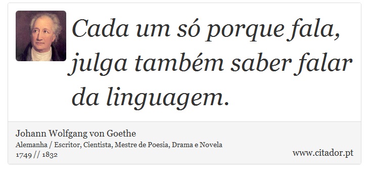 Cada um só porque fala, julga também saber falar da linguagem. - Johann Wolfgang von Goethe - Frases