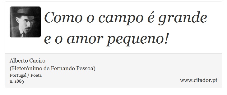 Como o campo é grande e o amor pequeno! - Alberto Caeiro<BR>(Heterónimo de Fernando Pessoa) - Frases