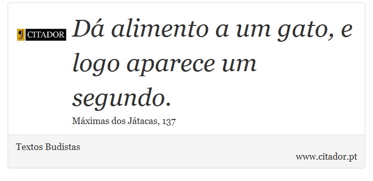 Dá alimento a um gato, e logo aparece um segundo. - Textos Budistas - Frases