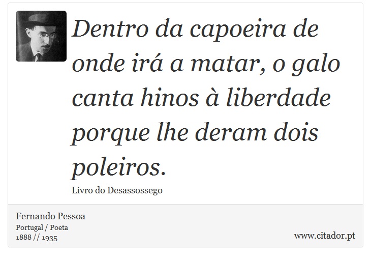 Dentro da capoeira de onde irá a matar, o galo canta hinos à liberdade porque lhe deram dois poleiros. - Fernando Pessoa - Frases