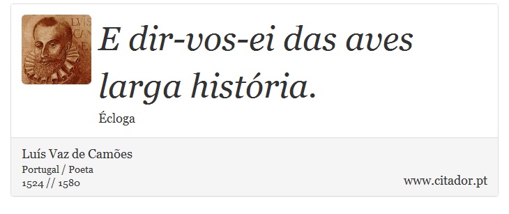 E dir-vos-ei das aves larga história. - Luís Vaz de Camões - Frases