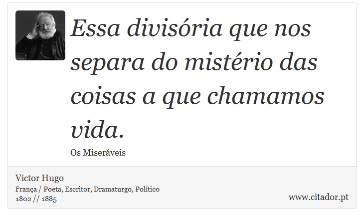 Essa divisória que nos separa do mistério das coisas a que chamamos vida. - Victor Hugo - Frases