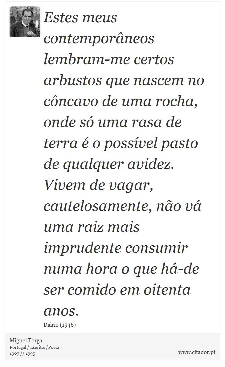 Estes meus contemporâneos lembram-me certos arbustos que nascem no côncavo de uma rocha, onde só uma rasa de terra é o possível pasto de qualquer avidez. Vivem de vagar, cautelosamente, não vá uma raiz mais imprudente consumir numa hora o que há-de ser comido em oitenta anos. - Miguel Torga - Frases