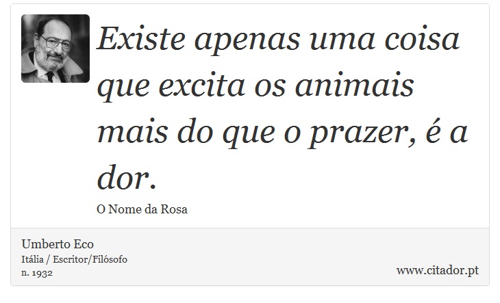 Existe apenas uma coisa que excita os animais mais do que o prazer, é a dor. - Umberto Eco - Frases