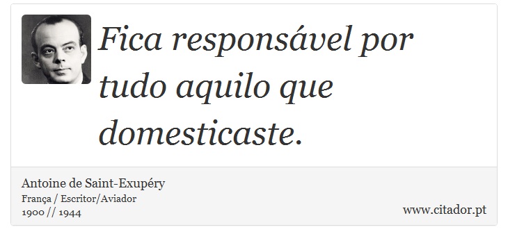 Fica responsável por tudo aquilo que domesticaste. - Antoine de Saint-Exupéry - Frases