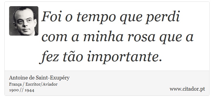 Foi o tempo que perdi com a minha rosa que a fez tão importante. - Antoine de Saint-Exupéry - Frases