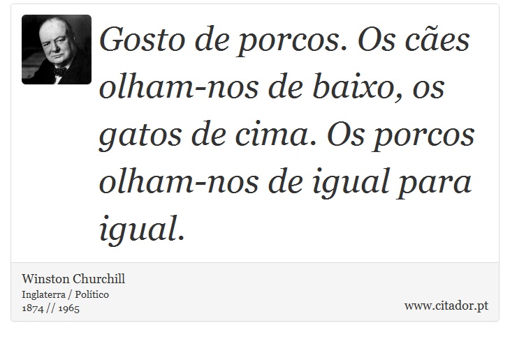 Gosto de porcos. Os cães olham-nos de baixo, os gatos de cima. Os porcos olham-nos de igual para igual. - Winston Churchill - Frases