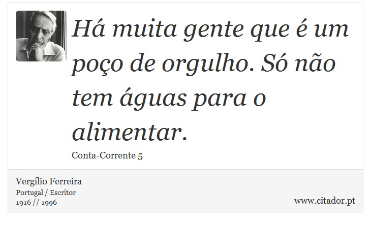 Há muita gente que é um poço de orgulho. Só não tem águas para o alimentar. - Vergílio Ferreira - Frases