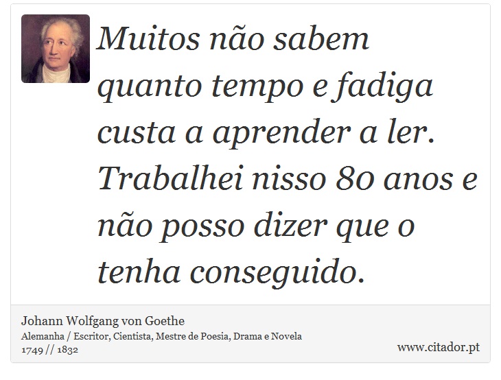 Muitos não sabem quanto tempo e fadiga custa a aprender a ler. Trabalhei nisso 80 anos e não posso dizer que o tenha conseguido. - Johann Wolfgang von Goethe - Frases