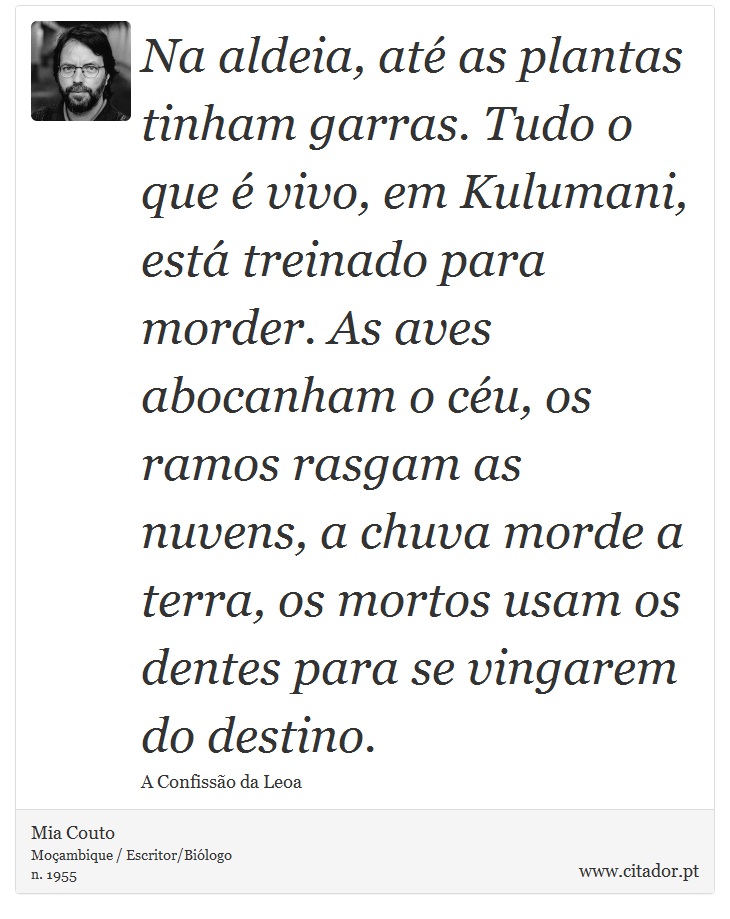 Na aldeia, até as plantas tinham garras. Tudo o que é vivo, em Kulumani, está treinado para morder. As aves abocanham o céu, os ramos rasgam as nuvens, a chuva morde a terra, os mortos usam os dentes para se vingarem do destino. - Mia Couto - Frases