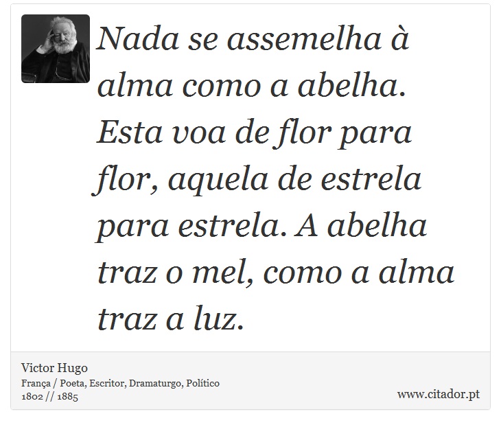 Nada se assemelha à alma como a abelha. Esta voa de flor para flor, aquela de estrela para estrela. A abelha traz o mel, como a alma traz a luz. - Victor Hugo - Frases