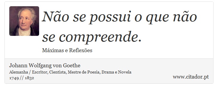Não se possui o que não se compreende. - Johann Wolfgang von Goethe - Frases