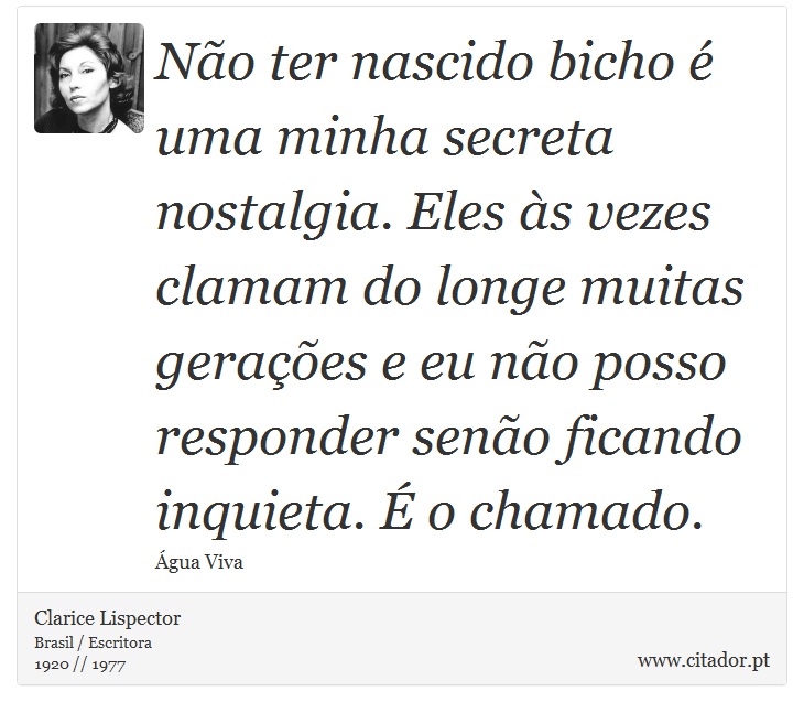 Não ter nascido bicho é uma minha secreta nostalgia. Eles às vezes clamam do longe muitas gerações e eu não posso responder senão ficando inquieta. É o chamado. - Clarice Lispector - Frases