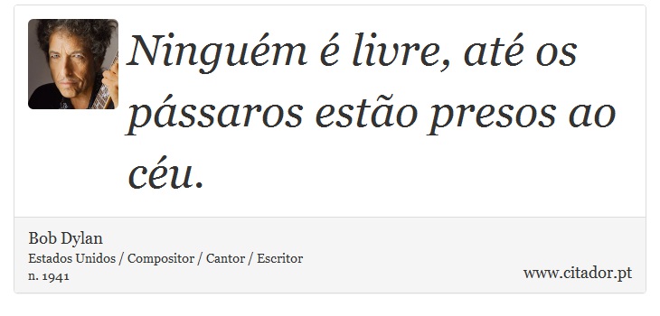 Ninguém é livre, até os pássaros estão presos ao céu. - Bob Dylan - Frases