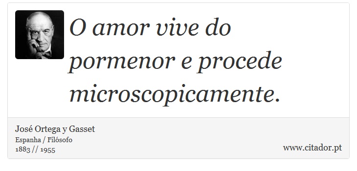 O amor vive do pormenor e procede microscopicamente. - José Ortega y Gasset - Frases