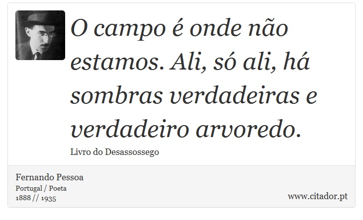 O campo é onde não estamos. Ali, só ali, há sombras verdadeiras e verdadeiro arvoredo. - Fernando Pessoa - Frases