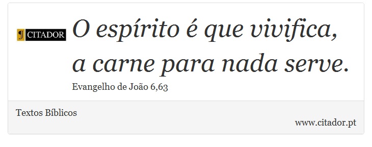 O espírito é que vivifica, a carne para nada serve. - Textos Bíblicos - Frases