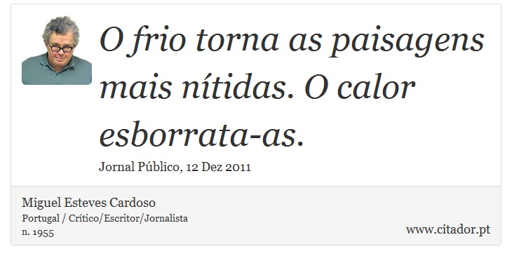 O frio torna as paisagens mais nítidas. O calor esborrata-as. - Miguel Esteves Cardoso - Frases