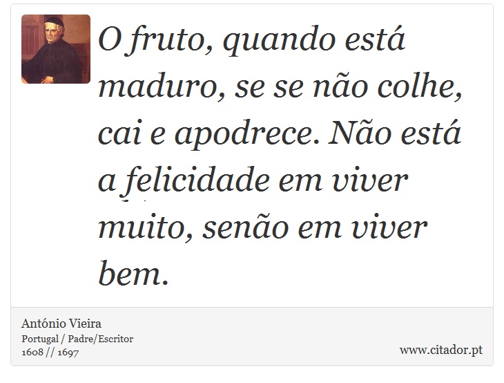 O fruto, quando está maduro, se se não colhe, cai e apodrece. Não está a felicidade em viver muito, senão em viver bem. - António Vieira - Frases