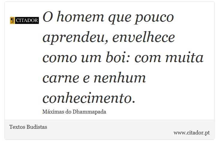 O homem que pouco aprendeu, envelhece como um boi: com muita carne e nenhum conhecimento. - Textos Budistas - Frases