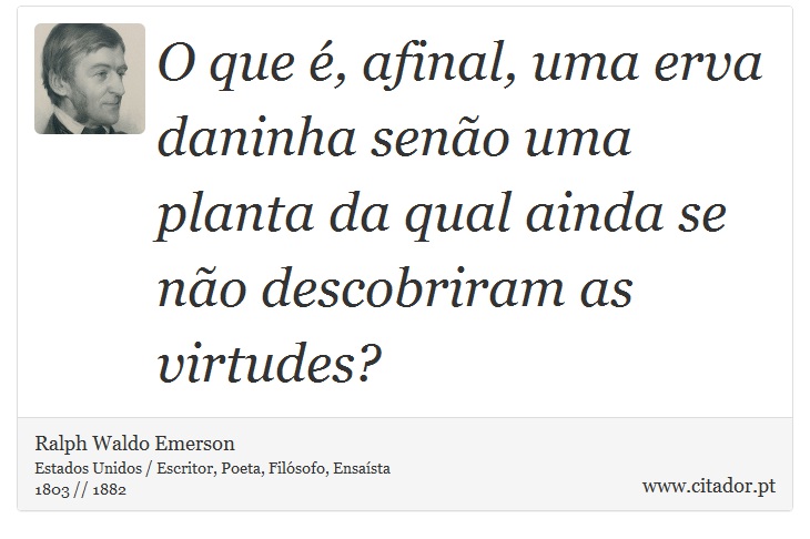 O que é, afinal, uma erva daninha senão uma planta da qual ainda se não descobriram as virtudes? - Ralph Waldo Emerson - Frases