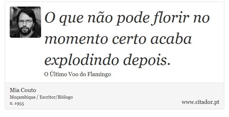 O que não pode florir no momento certo acaba explodindo depois. - Mia Couto - Frases