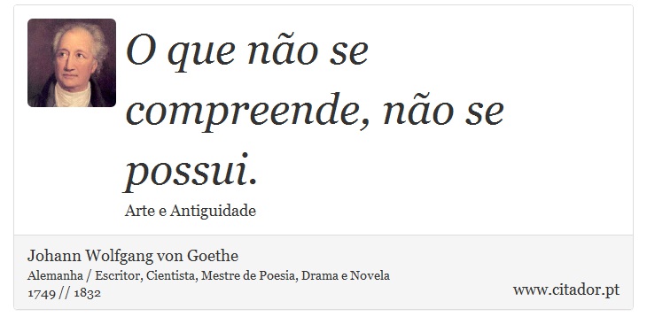 O que não se compreende, não se possui. - Johann Wolfgang von Goethe - Frases