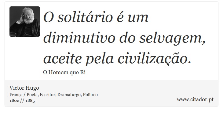 O solitário é um diminutivo do selvagem, aceite pela civilização. - Victor Hugo - Frases