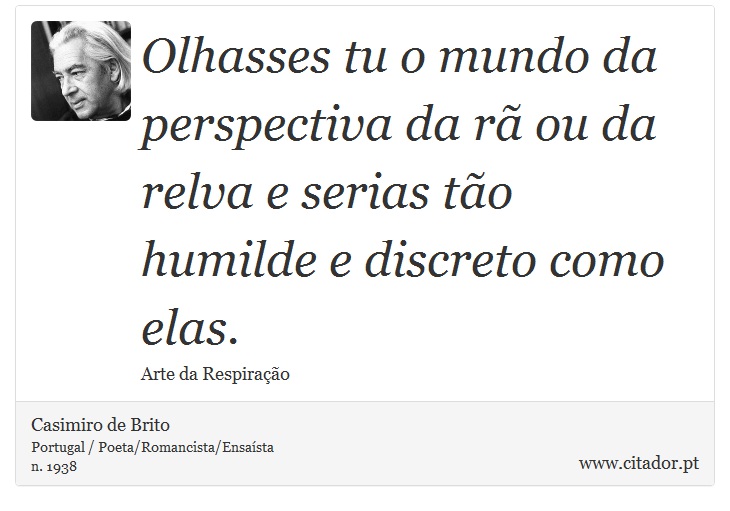Olhasses tu o mundo da perspectiva da rã ou da relva e serias tão humilde e discreto como elas. - Casimiro de Brito - Frases